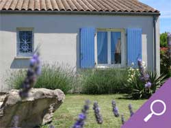 home lavender cottage