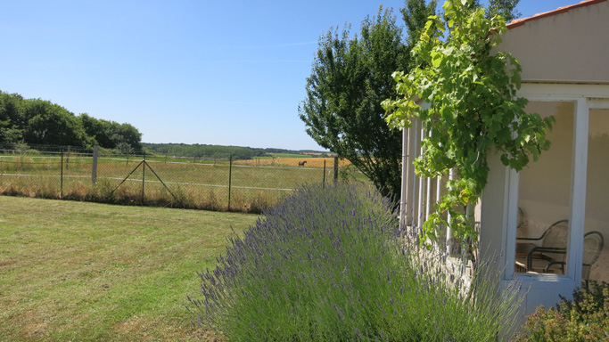 Lavender View Garden 