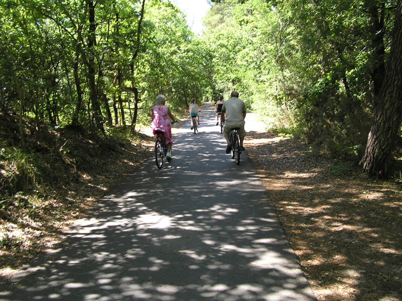 Cycle Track 