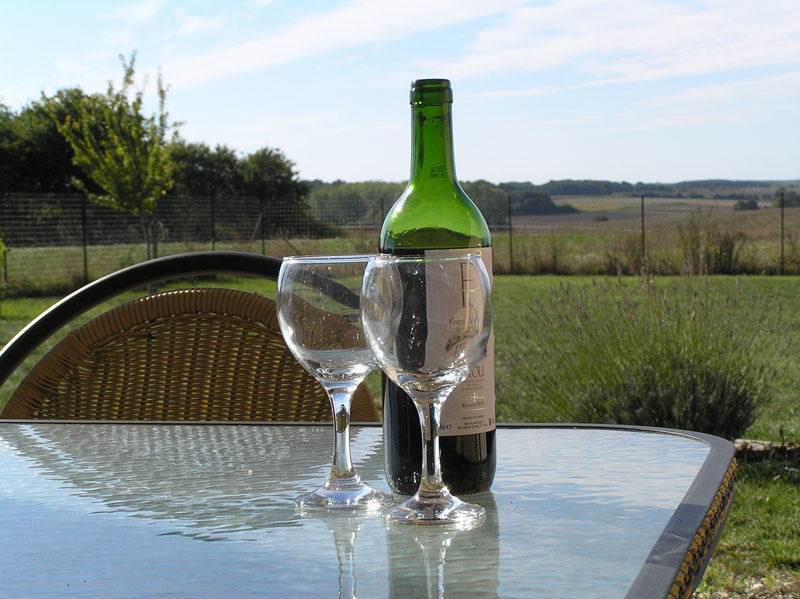 Glasses in the Gite Garden 