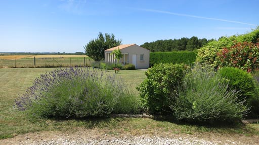 Lavender Lodge Garden 